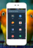 Kicau Lovebird screenshot 3