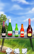 Shoot The Bottle : Bottle Shooter Free Game screenshot 1