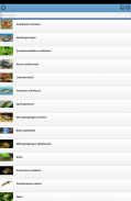 Aquário de peixes screenshot 4