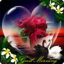 Good Morning Flowers