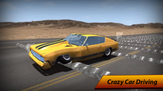 Consecutive  Speed  Bump  Car  Drive screenshot 3