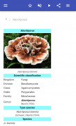 Genera of fungi screenshot 1