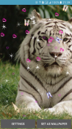 Bengal Tiger Live Wallpaper screenshot 3