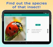 InsectID - Identify Insects screenshot 10