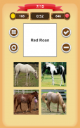 Horse Coat Colors Quiz screenshot 12