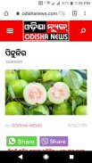 Odisha  News screenshot 4