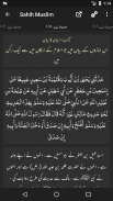 Sahih Muslim Shareef screenshot 4