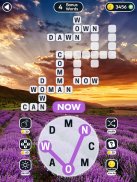 Word Swipe Crossword Puzzle screenshot 2