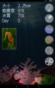 Seahorse Diary screenshot 5