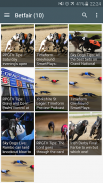 Dog Racing News screenshot 1