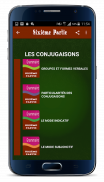 French Grammar, The essentials screenshot 0