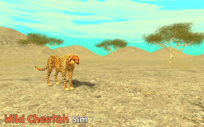 Wild Cheetah Sim 3D screenshot 0