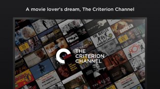The Criterion Channel screenshot 6