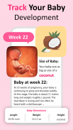 Pregnancy Tracker & Calculator screenshot 0