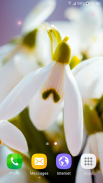 Spring Flowers Live Wallpaper screenshot 3