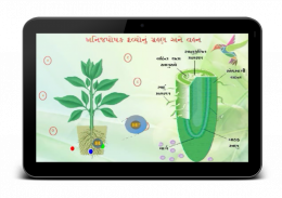 Animated Biology GSEB 12-1-3 screenshot 4