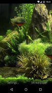 3D Fish Aquarium Wallpaper HD screenshot 6