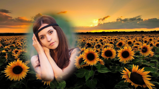 sunflower photo frames editor screenshot 3