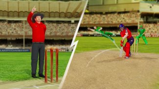 World Cricket Cup Tournament screenshot 12