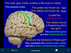 Neuroanatomy - SecondLook screenshot 2