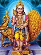 Lord Murugan Wallpapers screenshot 3