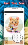 Cat Photography Coloring Book - Color By Number screenshot 3