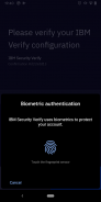 IBM Security Verify screenshot 2