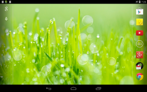 Grass Live Wallpaper screenshot 1