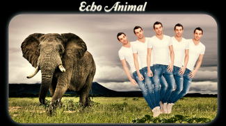 Echo Animal Effect : echo mirror with animal screenshot 0