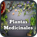 Plantas Medicinais e Medicina Natural Icon