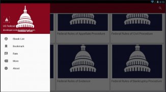 US Constitution & Federal Laws screenshot 8