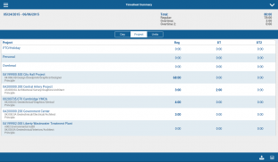 Deltek Vision Time & Expense screenshot 9