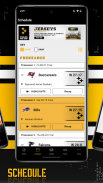 Pittsburgh Steelers screenshot 4