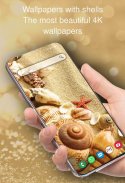 Wallpapers with shells screenshot 8