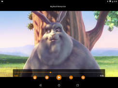 VLC for Android screenshot 21