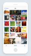 iGallery OS 12 - Phone X Style (Photo Filter) screenshot 2