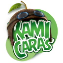 Kamicaras®