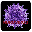 Norovirus Disease