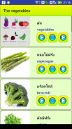 Learn Thai language screenshot 8