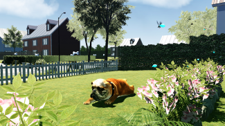 Bull Dog Simulator screenshot 9