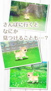 癒しの子犬育成ゲーム〜チワワ編〜 screenshot 5
