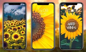 Sunflower Wallpapers screenshot 5