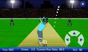 Power Cricket T20 League 2015 screenshot 4