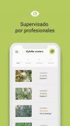 Xylella Vectors screenshot 1