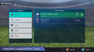 Pro League Soccer screenshot 3