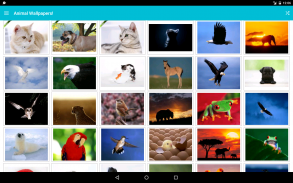 Animal Wallpapers! screenshot 0