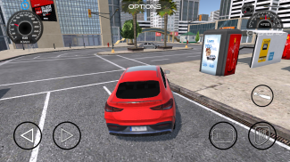 Realistic Cars Driving screenshot 2