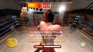 Realtech Iron Fist Boxing screenshot 7