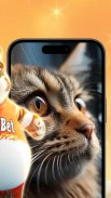 CuteCats Wallpapers screenshot 3