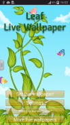 Leaf Live Wallpaper screenshot 9